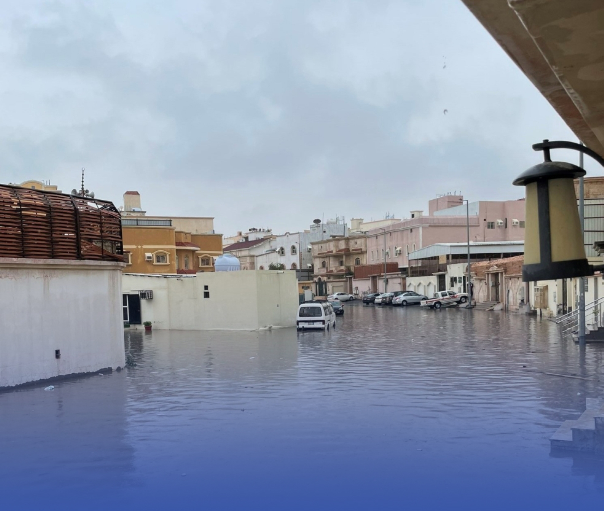 "أجاويد جدة".. بركة أمطار "سنوية"