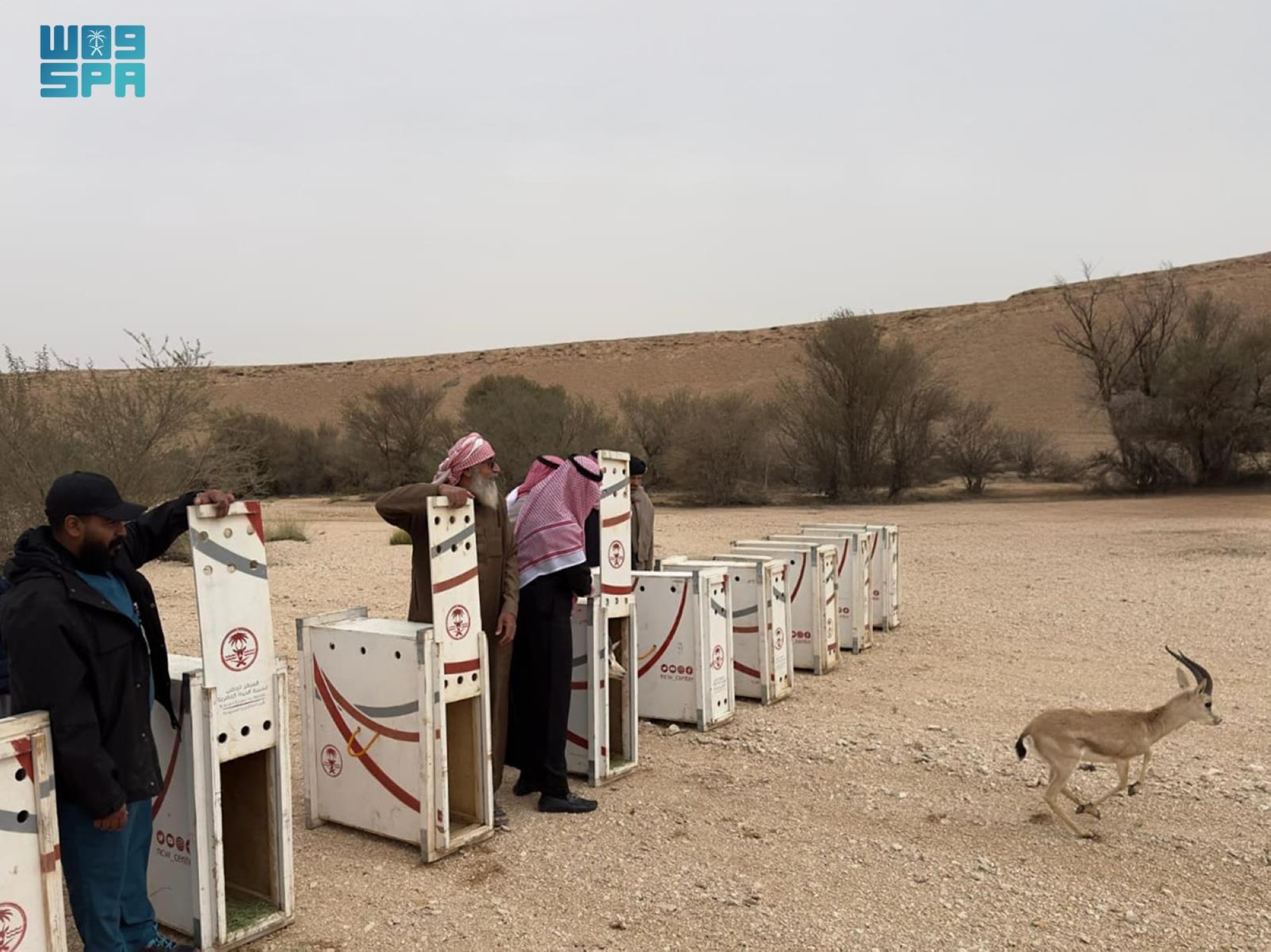 المركز يمتلك مراكز بحثية متقدمة تعد من بين الأهم عالميًا في مجال إكثار الأنواع المهددة بالانقراض وإعادة توطينها