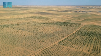 إشادة أممية بإعادة المملكة تأهيل مليون هكتار