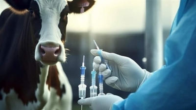 توطين تصنيع اللقاحات البيطرية بما يحُقق الاكتفاء الذاتي