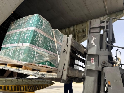 طائرة إغاثة غزة الـ83 تصل إلى العريش