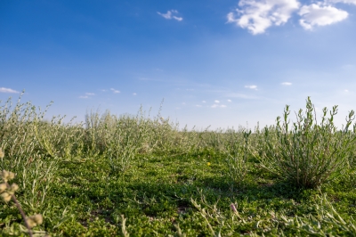 نفحات الربيع تنعش سياحة الرحلات البرية بالشمالية