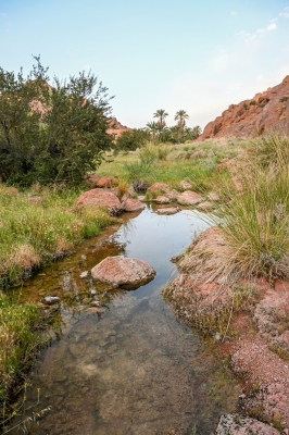 جبال أجا ترتدي ثوب الربيع بعد أمطار حائل