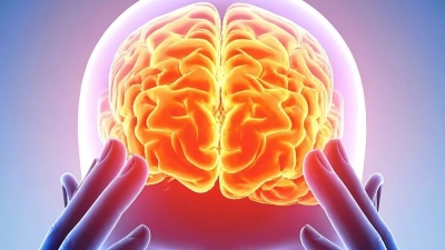 اكتشاف بصمة دماغية مشتركة بين 5 مهلوسات