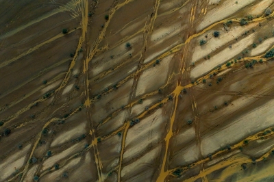 الأمطار ترسم لوحة طبيعية جاذبة في شمال الطائف