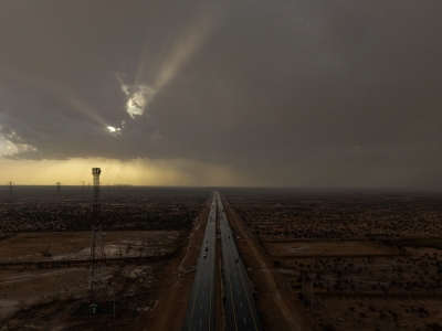 مطر الطائف يرسم لوحة ربيعية على الشمال