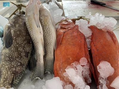 دراسة: المأكولات البحرية النيئة قد تضر العيون