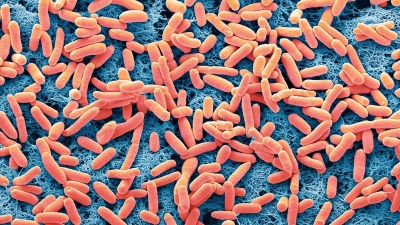 تحذيرات من تسبّب المضادات الحيوية بالالتهاب