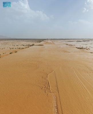 وادي الرمة.. شريان الطبيعة ورافد بيئي استراتيجي بحائل