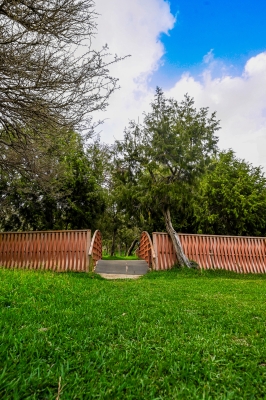 عرعر تفتح ذراعيها لعشاق الطبيعة بحلة خضراء