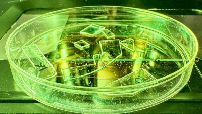 ابتكار غشاء بلاستيكي يمزق الفيروسات ميكانيكياً