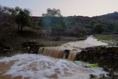 الباحة ترتدي حلّتها الخضراء مع تدفق الأودية