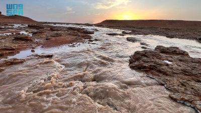 انتعاش الغطاء النباتي بعد هطول أمطار