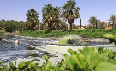 القصيم تُبحر نحو تعزيز الأمن الغذائي بالاستزراع السمكي