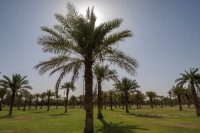 متنزه الملك عبدالعزيز.. وجهة ترفيهية متجددة