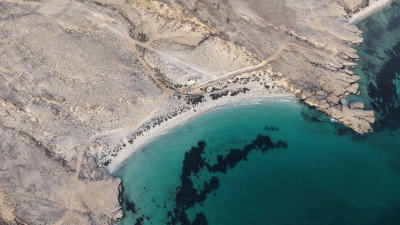 شاطئ خُتب.. وجهة ساحلية بكر تعزز جاذبية جزر فرسان