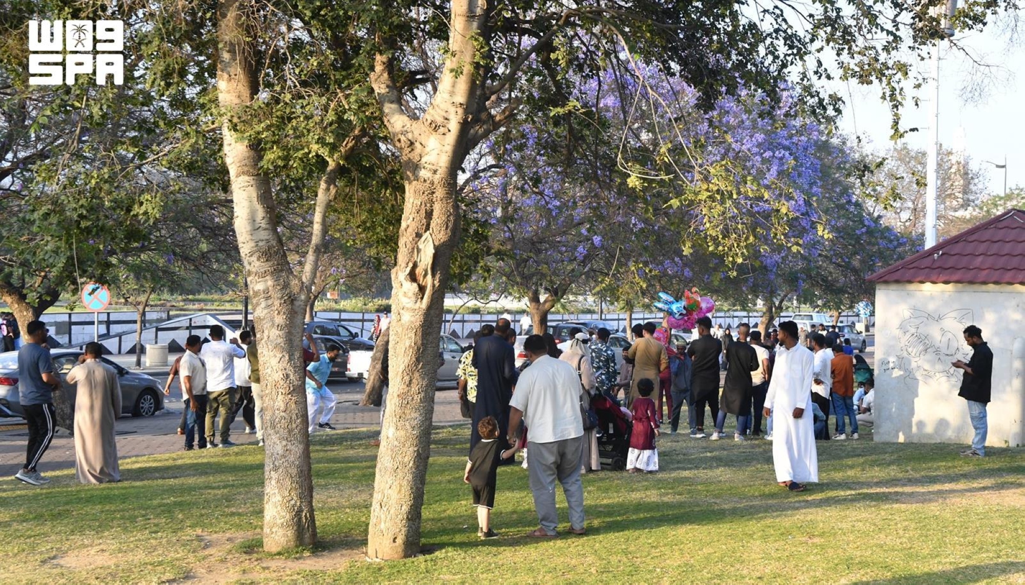 الطبيعة والمتنزهات تجذبان أهالي عسير خلال العيد